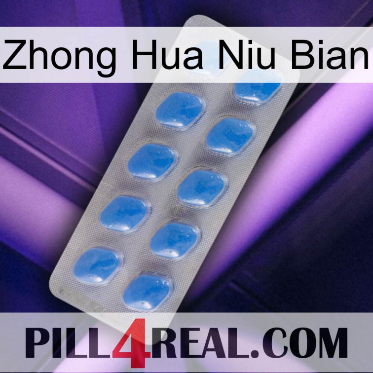 Zhong Hua Niu Bian 22